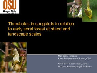 Matt Betts, Tana Ellis Forest Ecosystems and Society, OSU Collaborators: Joan Hagar, Brenda McComb, Kevin McGarigal, Jim Rivers Thresholds in songbirds in relation to early seral forest at stand and landscape scales 