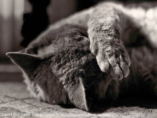 David Blackwell. https://www.ﬂickr.com/photos/mobilestreetlife/4671259881/
11
 