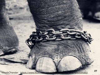 VinothChandar&emsp;https://www.ﬂickr.com/photos/vinothchandar/5793059580/
27
 