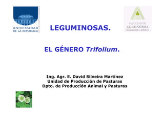 LEGUMINOSAS.
EL GÉNERO Trifolium.
Ing. Agr. E. David Silveira Martínez
Unidad de Producción de Pasturas
Dpto. de Producción Animal y Pasturas
 