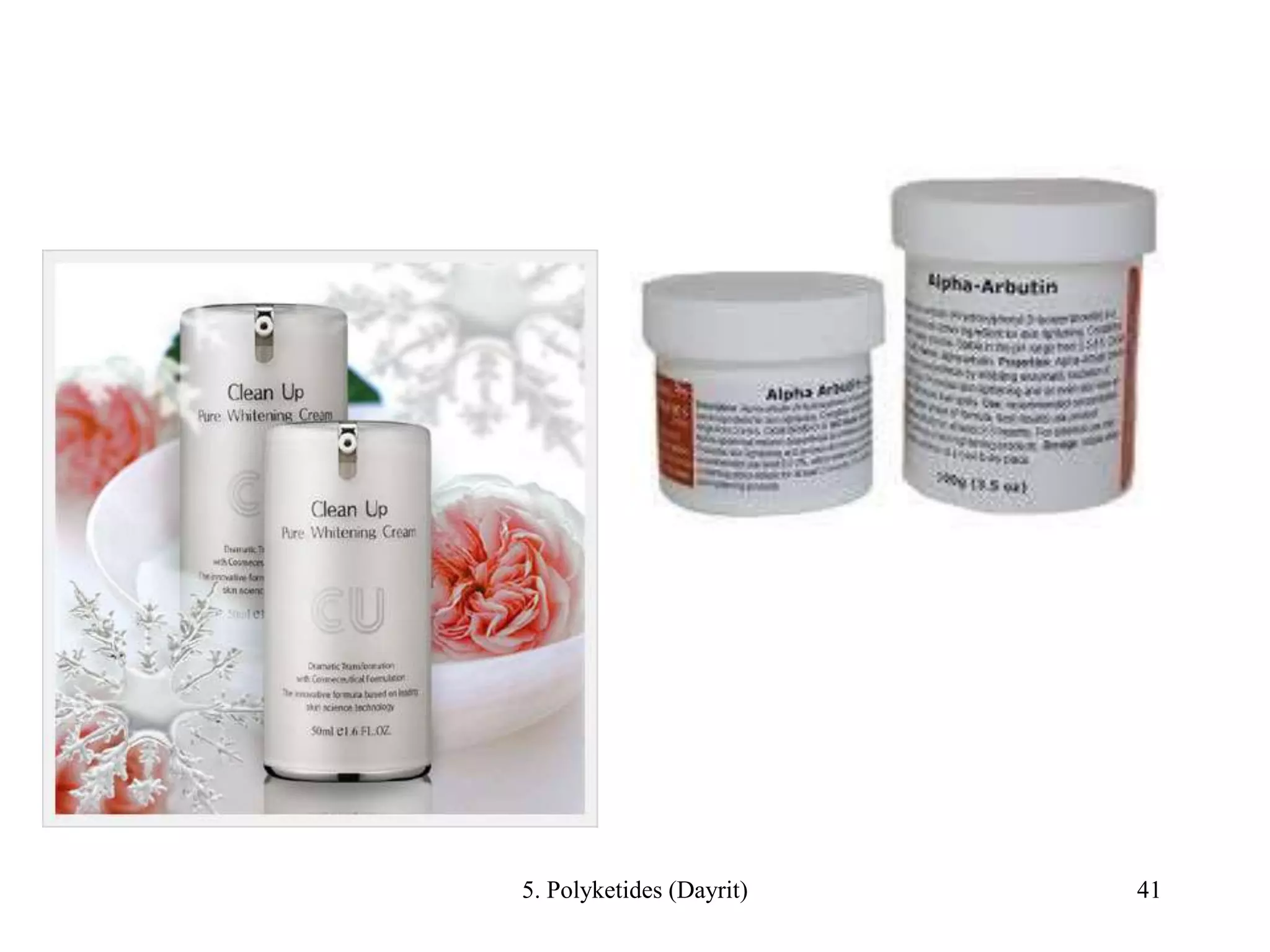 5. Polyketides (Dayrit) 41
 