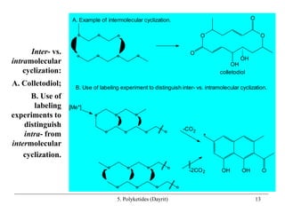 050-polyketides.ppt