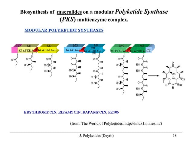 050-polyketides.ppt | Chemistry | Science