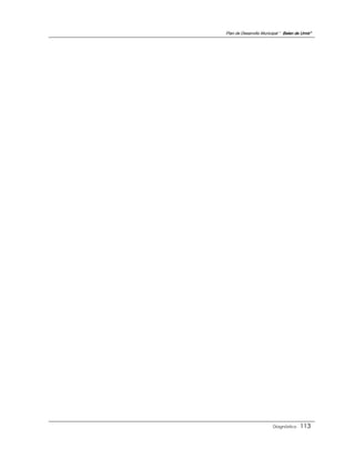 Plan de Desarrollo Municipal “ Belen de Urmir”




                         Diagnóstico    113
 