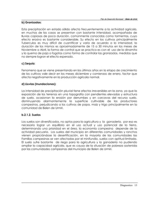 Plan de Desarrollo Municipal “ Belen de Urmir
b) Granizadas:

Esta precipitación en estado sólido afecta frecuentemente a la actividad agrícola,
en muchos de los casos se presentan con bastante intensidad, acompañada de
lluvias copiosas de poca duración, comúnmente conocidas como tormentas, cuyo
efecto erosivo es bastante considerable. Su efecto en los cultivos principalmente
Tuberculos es muy difícil de cuantificar y varia de acuerdo a la intensidad, la
duración de los mismos es aproximadamente de 15 a 30 minutos en los meses de
Noviembre a Abril, la forma de control que se practica es con el uso de la dinamita
y la quema de paja o fogatas como forma de controlar las granizadas, medidas que
no siempre logran el efecto esperado.

c) Sequía:

Fenomeno que se viene presentando en los últimos años en la etapa de crecimiento
de los cultivos vale decir en los meses diciembre y comienzos de enero, factor que
afecta negativamente en la producción agrícola normal.

d) Lluvias (Inundaciones):

La intensidad de precipitación pluvial tiene efectos irreversibles en la zona, ya que la
exposición de los terrenos en una topografía con pendientes elevadas y estructura
de suelo, ocasionan la erosión por derrumbes y en carcavas del recurso suelo,
disminuyendo alarmantemente la superficie cultivable de los productores
campesinos, perjudicando a los cultivos de papa, maíz y trigo principalmente en la
comunidad de Belen de Urmiri.

b.2.1.2. Suelos

Los suelos son diversificados, no aptos para la agricultura y la ganadería, por eso es
necesario lograr un equilibrio en el uso actual y uso potencial de la tierra,
determinando una prioridad en el área, la economía campesina depende de la
actividad pecuaria. Los suelos del municipio en diferentes comunidades y ranchos
vienen propiciándose la desertificación, en la mayoría de las comunidades las
Familias campesinas se ven afectadas por el minifundio, suelos con aptitud limitada.
El suelo sufre bastante de riego para la agricultura y la ganadería no pudiendo
ampliar la capacidad agrícola, que es causa de la situación de pobreza sostenida
por las comunidades campesinas del municipio de Belen de Urmiri.




                                                                                    Diagnostico 13
 