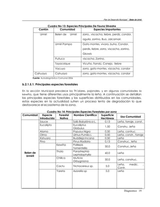 Plan de Desarrollo Municipal “ Belen de Urmir


                  Cuadro No 13: Especies Principales De Fauna Silvestre
            Cantón        Comunidad                  Especies Importantes
             Urmiri        Belen de     Urmiri       zorro,, viscacha, liebre, perdiz, condor,
                                                     aguila, zorrino, Buo, Jalcamari.
                           Urmiri Pampa              Gato montes, vivora, buho, Condor,
                                                     perdis, liebre, zorro, viscacha, zorrino,
                                                     Gkowis
                           Puituco                   viscacha, Zorrino.
                           Tayacolque                Vicuña, ñandú, Conejo, liebre
                           Vacuyo                    zorro, gato montes, vizcacha, condor
         Cahuayo           Cahuayo                   zorro, gato montes, vizcacha, condor
       Fuente: Autodiagnóstico Comunal 2006


b.2.1.5.1. Principales especies forestales

En la sección Municipal prevalece los Th’olares, pajonales, y en algunas comunidades la
kewiña, que tiene diferentes usos principalmente la leña. A continuación se detallan
las principales especies forestales y las superficies distribuidas en las comunidades,
estas especies en la actualidad sufren un proceso lento de degradación lo que
desfavorece el ecosistema de la zona.

                   Cuadro No 14: Principales Especies Forestales por zona
Comunidad      Especie     Forestal    Nombre Científico     Superficie
                                                                                           Uso Comunidad
             Introducida    Nativa                           Hectáreas
             Sauce                     Salís Babylónica L.      0,13                   Leña, forraje, const.
             Eucalipto                 Eucaliptus
                                                                1,50                   Constru. ,leña
                                       Globulus
             Alamo                     Populus Nigra            0,50                   Leña, contruc.
             Olmo                      Ulmus Pumila L           0,50                   Leña, constr., forraje
             Kishuara                  Buddleja Incana          0,50                   Leña
             Pino                      Pinus Radiata            0,13                   Construc., leña
                         Kewiña        Polilepis
                                                                50,0                   Construc.,leña
                                       Tomentella
                         Thola         Parastrephia
 Belen de                                                       60,0                   Leña
                                       Lephidophylla
  UrmiriI
                         Chillca       Muticia
                                                                50,0                   Leña, construc.
                                       Orbygniana
                                                                                       Leña,         medic.            ,
                            Cactu             Trichocereus sp.            5,0
                                                                                       Contr.
                            Yareta            Azorella sp                 5.0          Leña




                                                                                               Diagnostico 19
 