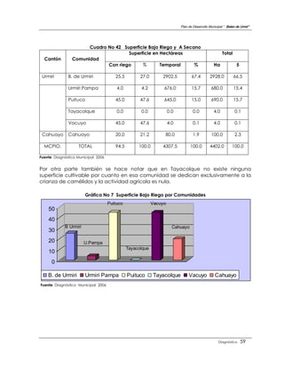 Plan de Desarrollo Municipal “ Belen de Urmir”




                       Cuadro No 42 Superficie Bajo Riego y A Secano
                                      Superficie en Hectáreas                                          Total
  Cantón         Comunidad
                              Con riego     %       Temporal      %                              Ha             5

 Urmiri        B. de Urmiri             25.5         27.0       2902.5            67.4        2928.0           66.5

               Urmiri Pampa              4.0         4.2         676.0            15.7         680.0           15.4

               Puituco                  45.0         47.6        645.0            15.0         690.0           15.7

               Tayacolque                0.0         0.0             0.0           0.0           4.0           0.1

               Vacuyo                   45.0         47.6            4.0           0.1           4.0           0.1

 Cahuayo       Cahuayo                  20.0         21.2        80.0              1.9         100.0           2.3

  MCPIO.            TOTAL               94.5        100.0       4307.5           100.0        4402.0         100.0

Fuente: Diagnóstico Municipal 2006


Por otra parte también se hace notar que en Tayacolque no existe ninguna
superficie cultivable por cuanto en esa comunidad se dedican exclusivamente a la
crianza de camélidos y la actividad agrícola es nula.

                        Gráfica No 7 Superficie Bajo Riego por Comunidades
                                     Puituco                Vacuyo
    50
    40
             B Urmiri                                                  Cahuayo
    30
    20                  U.Pampa
                                               Tayacolque
    10
      0

    B. de Urmiri        Urmiri Pampa           Puituco      Tayacolque          Vacuyo            Cahuayo
Fuente: Diagnóstico Municipal 2006




                                                                                                    Diagnóstico     59
 