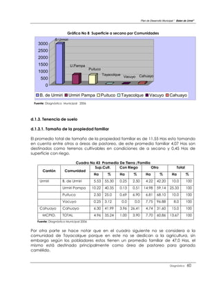 Plan de Desarrollo Municipal “ Belen de Urmir”



                       Gráfica No 8 Superficie a secano por Comunidades
               B Urmiri
   3000
   2500
   2000
   1500                   U.Pampa
                                        Puituco
   1000
                                                  Tayacolque             Cahuayo
                                                                Vacuyo
     500
        0

    B. de Urmiri          Urmiri Pampa            Puituco      Tayacolque           Vacuyo            Cahuayo
 Fuente: Diagnóstico Municipal 2006




d.1.3. Tenencia de suelo

d.1.3.1. Tamaño de la propiedad familiar

El promedio total de tamaño de la propiedad familiar es de 11,55 Has esto tomando
en cuenta entre otros a áreas de pastoreo, de este promedio familiar 4,07 Has son
destinados como terrenos cultivables en condiciones de a secano y 0,45 Has de
superficie con riego.

                         Cuadro No 43 Promedio De Tierra /Familia
                                  Sup.Cult.    Con Riego          Otro                                      Total
      Cantón         Comunidad
                                 Ha      %     Ha      %      Ha       %                                Ha          %
    Urmiri          B. de Urmiri          5.53     55.30    0.25      2.50       4.22      42.20        10.0        100
                    Urmiri Pampa         10.22     40.35    0.13      0.51     14.98       59.14      25.33         100
                    Puituco               2.50     25.0     0.69      6.90       6.81      68.10        10.0        100
                    Vacuyo                0.25     3.12        0.0     0.0       7.75      96.88         8.0        100
    Cahuayo         Cahuayo               6.30     41.99    3.96     26.41       4.74      31.60        15.0        100
      MCPIO.        TOTAL                 4.96     35.24    1.00      3.90       7.70      60.86      13.67         100
   Fuente: Diagnóstico Municipal 2006


Por otra parte se hace notar que en el cuadro siguiente no se considera a la
comunidad de Tayacolque porque en este no se dedican a la agricultura, sin
embargo según los pobladores estos tienen un promedio familiar de 47,0 Has, el
mismo está destinado principalmente como área de pastoreo para ganado
camélido.


                                                                                                      Diagnóstico    60
 