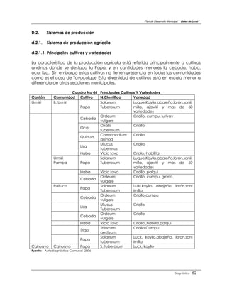 Plan de Desarrollo Municipal “ Belen de Urmir”



D.2.     Sistemas de producción

d.2.1.   Sistema de producción agrícola

d.2.1.1. Principales cultivos y variedades

La característica de la producción agrícola está referida principalmente a cultivos
andinos donde se destaca la Papa, y en cantidades menores la cebada, haba,
oca, liza. Sin embargo estos cultivos no tienen presencia en todas las comunidades
como es el caso de Tayacolque Esta diversidad de cultivos está en escala menor a
diferencia de otras secciones municipales.

                       Cuadro No 44    Principales Cultivos Y Variedades
Cantón       Comunidad Cultivo         N.Cientifico       Variedad
Urmiri       B. Urmiri                 Solanum            Luque,Koyllo,abajeño,lorón,sanii
                          Papa         Tuberosum          milla, ajawiri y mas de 60
                                                          variedades
                                       Ordeum             Criollo, cumpu, lurivay
                             Cebada
                                       vulgare
                                       Oxalis             Criollo
                             Oca
                                       tuberosum
                                       Chenopodium        Criollo
                             Quinua
                                       quinoa
                                       Ullucus            Criollo
                             Lisa
                                       tuberosus
                             Haba      Vicio fava         Criolo, habilita
             Urmiri                    Solanum            Luque,Koyllo,abajeño,lorón,sanii
             Pampa           Papa      Tuberosum          milla, ajawiri y mas de 60
                                                          variedades
                             Haba      Vicia fava         Criollo, palqui
                                       Ordeum             Criollo, cumpu, grano,
                             Cebada
                                       vulgare
             Puituco                   Solanum            Lulki,koyllo, abajeño, lorón,sani
                             Papa
                                       Tuberosum          imilla
                                       Ordeum             Criollo,cumpu
                             Cebada
                                       vulgare
                                       Ullucus            Criollo
                             Lisa
                                       Tuberosum
                                       Ordeum             Criollo
                             Cebada
                                       vulgare
                             Haba      Vicia fava         Criollo ,habilla,palqui
                                       Tritucum           Criollo Cumpu
                             Trigo
                                       aestivum
                                       Solanum            Luck, koyllo,abajeño, loron,sani
                             Papa
                                       tuberosum          imilla
Cahuayo      Cahuayo         Papa      S. tuberosum       Luck, koyllo
Fuente: Autodiagnóstico Comunal 2006




                                                                                        Diagnóstico    62
 