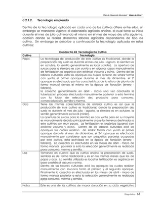 Plan de Desarrollo Municipal “ Belen de Urmir”

d.2.1.2.   Tecnología empleada

Dentro de la tecnología aplicada en cada uno de los cultivos difiere entre ellos, sin
embargo se mantiene vigente el calendario agrícola andino, el cual tiene su inicio
durante el mes de julio culminando el mismo en el mes de mayo de¡ año siguiente,
ocasión donde se realiza diferentes labores agrícolas dependiente de tipo de
cultivo. Sin embargo se describe a continuación la tecnología aplicada en estos
cultivos:

                            Cuadro No 45 Tecnología De Cultivo
Cultivo                                    Tecnología
Papa        La tecnología de producción de este cultivo es tradicional, donde la
            preparación de¡ suelo es durante el mes de julio - agosto, la siembra es
            en octubre, la semilla generalmente es local (criollo). La apertura de
            surcos para la siembra es con yunta y en algunos casos manualmente
            de fertilización es orgánica con estiércol vacuno y ovino. Dentro de las
            labores culturales está los aporques los cuales realizan de similar forma
            con yunta el primer aporque durante el mes de diciembre, el 2'
            aporque es efectuado por las características de la altura de planta de
            forma manual siendo el mismo en la época de floración (enero -
            febrero).
            la cosecha generalmente en abril - mayo una vez concluida la
            tuberizaci6n proceso efectuado manualmente posterior a esta termina
            con la labor de selección de¡ producto para consumo,
            comercialización, semilla y merma.
Oca         Tiene las mismas características de anterior cultivo es así que la
            producción de este cultivo es tradicional, donde la preparación de¡
            suelo es durante el mes de julio - agosto, la siembra es en octubre, la
            semilla generalmente es local (criollo).
            La apertura de surcos para la siembra es con yunta pero en su mayoría
            es manualmente debido principalmente a que los terrenos destinados a
            este cultivos son muy pocos. La fertilización es orgánica (guano) con
            estiércol vacuno y ovino. Dentro de las labores culturales está los
            aporques los cuales realizan de similar forma con yunta el primer
            aporque durante el mes de diciembre, el 2<' aporque es efectuado
            manualmente por considerar que son pequeñas parcelas ocupadas
            por este cultivo, esta actividad en la época de floración (enero -
            febrero). La cosecha es efectuada en los meses de abril - mayo de
            forma manual posterior a esta la selección generalmente es realizada
            para consumo, merma y semilla.
Lisa        Tomando en cuenta que es cultivo andino la preparación de suelo,
            siembra es de forma tradicional y es en los mismos meses que las de
            papa u oca. La semilla utilizada es local la fertilización es orgánica en
            base a estiércol vacuno y ovino.
            Dentro de las labores culturales está los aporques los cuales realizan
            manualmente con laucana tanto el primero y el segundo aporque.
            Finalmente la cosecha es efectuada en los meses de abril - mayo de
            forma manual posterior a esta la selección generalmente es realizada
            para consumo, merma y semilla.

Haba        Este es uno de los cultivos de mayor duración en su ciclo vegetativo


                                                                                     Diagnóstico    63
 