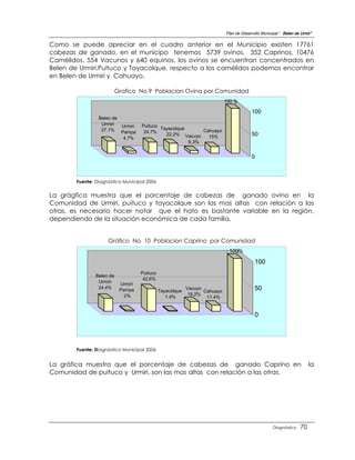 Plan de Desarrollo Municipal “ Belen de Urmir”

Como se puede apreciar en el cuadro anterior en el Municipio existen 17761
cabezas de ganado, en el municipo tenemos 5739 ovinos, 352 Caprinos, 10476
Camélidos, 554 Vacunos y 640 equinos, los ovinos se encuentran concentrados en
Belen de Urmiri,Puituco y Tayacolque, respecto a los camélidos podemos encontrar
en Belen de Urmiri y Cahuayo.

                           Grafico No 9 Poblacion Ovina por Comunidad
                                                                             100 %

                                                                                          100
                 Belen de
                  Urmiri  Urmiri     Puituco
                  27.1% Pampa                Tayacolque      Cahuayo
                                      24.7%
                                               22.2% Vacuyo    15%                        50
                          4.7%
                                                        6.3%


                                                                                          0



        Fuente: Diagnóstico Municipal 2006


La grágfica muestra que el porcentaje de cabezas de ganado ovino en la
Comunidad de Urmiri, puituco y tayacolque son las mas altas con relación a las
otras, es necesario hacer notar que el hato es bastante variable en la región,
dependiendo de la situación económica de cada familia.


                     Gráfico No 10 Poblacion Caprino por Comunidad
                                                                             ; 100%

                                                                                            100
                                     Puituco
                Belen de
                                      42.6%
                 Urmiri     Urmiri
                 24.4%      Pampa              Tayacolque
                                                            Vacuyo
                                                                   Cahuayo
                                                                                            50
                              2%                             18.2%
                                                  1.4%              11.4%


                                                                                            0




        Fuente: Diagnóstico Municipal 2006


La gráfica muestra que el porcentaje de cabezas de ganado Caprino en                                                      la
Comunidad de puituco y Urmiri, son las mas altas con relación a las otras.




                                                                                                      Diagnóstico    70
 