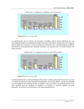Plan de Desarrollo Municipal “ Belen de Urmir”



                     Gráfico No 11 Poblacion Camélida por Comunidad
                                                                            ; 100%

                                                                                           100
                                                                                           80
                Belen de
                 Urmiri    Urmiri   Puituco                  Cahuayo
                                                                                           60
                 23.3%     Pampa     16.1% Tayacolque Vacuyo 21.2%
                            7.1%             14.9%     17.4%                               40
                                                                                           20
                                                                                           0



        Fuente: Diagnóstico Municipal 2006



La dedicación de la crianza de ganado camélido Llama (lama Glama), es una
actividad principal en importancia de la sección municipal, resultando con mayores
porcentajes de consumo y por lo tanto de mercado, por consiguiente las políticas
de fomento a la producción deberá también a la producción y transformación de
esta especie.

                   Gráfico No 12 Poblacion Vacuno por Comunidad
                                                                            ; 100%

                                                                                           100
                Belen de            Puituco                                                80
                 Urmiri              41%
                 26.4%
                           Urmiri                                                          60
                                                                  Cahuayo
                           Pampa
                            5.2%              Tayacolque Vacuyo
                                                                   19.3%                   40
                                                 3.2%     4.9%
                                                                                           20
                                                                                           0



        Fuente: Diagnóstico Municipal 2006


La importancia de la crianza del ganado bovino, rádica principalmente en el uso de
su fuerza de trracción para las labores agrícolas ,en el caso de las vacas son criadas
con la finalidad de obtener leche y también con la función de reproducción,es en
este sentido que las familias no poseen un número ni siquiera regular de este
ganado. Un factor muy limitante es las áreas de pastoreo




                                                                                                     Diagnóstico    71
 