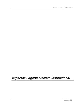 Plan de Desarrollo Municipal “ Belen de Urmir”




Aspectos Organianizativo Institucional




                                                   Diagnóstico    85
 