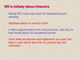 <ul><li>SRI is initially labour-intensive </li></ul><ul><li>Needs 50% more man-days for transplanting and weeding </li></u...