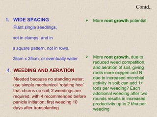 Contd.. <ul><li>WIDE SPACING </li></ul><ul><li>  </li></ul><ul><li>Plant single seedlings,     </li></ul><ul><li>not in cl...