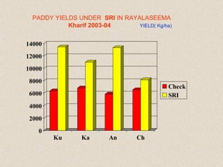 PADDY YIELDS UNDER  SRI  IN RAYALASEEMA  Kharif 2003-04   YIELD( Kg/ha) 