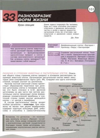 Урок-лекция Какие чудеса открылись бы человеку,
будь его глаза способны разглядеть
очертания и движения мельчайших
частиц в крови и других жидкостях
организмов столь же отчетливо , как
очертания и движения самих живых
существ .
Чем различаются клетки животных и
клетки растений? Каковы особенности
организации и функционирования
одноклеточных эукариот и клеток в
составе многоклеточного организма?
Как устроены клетки прокариот? Что
представляют собой вирусы?
Ключевые
слова
Дж. Локк
Дифференциация клеток • Бактерия •
Нуклеоид • Вирус • Бактериофаг
Строение растительной клетки. Поня­
тие о тканях. Одноклеточные простей­
шие и водоросли. Бактерии и вирусы.
Грибы . Растения . Животные (Биоло­
гия , 6-9 кл . ) . Биосфера (География,
6-7 кл.).
РАЗЛИЧИЯ В СТРОЕНИИ ЖИВОТНЫХ И РАСТИТЕЛЬНЫХ КЛЕТОК. Описа­
ние общего плана строения клетки эукариот в основном рассмотрено на
примере животной клетки . Организация растительной клетки имеет неко-
торые свои специфические черты (рис . 44).
стенкой , которая состоит из целлюлозы.
Наличие плотной клеточной стенки препят­
ствует образованию перетяжки при деле­
нии цитоплазмы клетки в телофазе митоза ,
как это было описано в § 32. Деление
цитоплазмы на две части при митозе рас­
тительных клеток происходит путем форми­
рования плазматической мембраны и кле­
точной стенки прямо внутри делящейся
клетки - от центра к периферии.
В состав растительных клеток входят
особые органеллы- пластиды. Они окру­
жены не менее чем двумя мембранами,
содержат короткую кольцевую ДНК , рибо­
сомы и способны к самостоятельному
Вспомним, что целлюлоза- это полисаха­
рид, молекулы которого образуют тончай­
шие нити. Связь между соседними клетками
у многоклеточных растений осуществляется
благодаря тонким тяжам цитоплазмы, про­
низывающим неуплотненные участки клеточ­
ной стенки .
Снаружи она одета клеточной
Структуры
Митохондрия цитоскелета
Плазматическая
мембрана
Клеточная
стенка
Рис. 44
Ядрышко
Строение растительной клетки
1
Л изосома
 