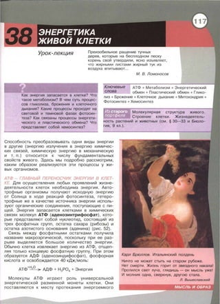 Урок-лекция Преизобильное ращение тучных
дерев, которые на бесплодном песку
корень свой утвердили , ясно изъявляет,
что жирными листами жирный тук из
воздуха впитывают...
М. В. Ломоносов
Ключевые
слова
АТФ • Метаболизм • Энергетический
обмен • Пластический обмен • Глико-
Как энергия запасается в клетке? Что
такое метаболизм? В чем суть процес­
сов гликолиза, брожения и клеточного
дыхания? Какие процессы проходят на
световой и темновой фазах фотосин­
теза? Как связаны процессы энергети­
ческого и пластического обмена? Что
представляет собой хемосинтез?
лиз • Брожение • Клеточное дыхание • Митохондрия •
Фотосинтез • Хемосинтез
Молекулярная структура живого.
Строение клетки . Жизнедеятель­
ность растений и животных (см. § 30- 33 и Биоло­
гия , 9 кл . ).
Способность преобразовывать одни виды энергии
в другие (энергию излучения в энергию химичес­
ких связей , химическую энергию в механическую
и т. п . ) относится к числу фундаментальных
свойств живого. Здесь мы подробно рассмотрим,
каким образом реализуются эти процессы у жи­
вых организмов.
А ТФ - ГЛАВНЫЙ ПЕРЕНОСЧИК ЭНЕРГИИ В КЛЕТ­
КЕ Для осуществления любых проявлений жизне­
деятельности клеток необходима энергия . Авто­
трофные организмы получают исходную энергию
от Солнца в ходе реакций фотосинтеза , гетеро­
трофные же в качестве источника энергии исполь­
зуют органические соединения , поступающие с пи­
щей . Энергия запасается клетками в химических
связях молекул АТФ (аденозинтрифосфат) , кото­
рые представляют собой нуклеотид, состоящий из
трех фосфатных групп , остатка сахара (рибозы) и
остатка азотистого основания (аденина) (рис. 52).
Связь между фосфатными остатками получила
название макроэргической , поскольку при ее раз­
рыве выделяется большое количество энергии.
Обычно клетка извлекает энергию из АТФ , отщеп­
ляя только концевую фосфатную группу. При этом
образуется АДФ (аденозиндифосфат), фосфорная
кислота и освобождается 40 кДж/моль :
+ Н О
АТФ ___L___;.. АДФ + Н3РО4 +Энергия
Молекулы АТФ играют роль универсальной
энергетической разменной монеты клетки . Они
поставляются к месту протекания энергоемкого
Карл Брюллов. Итальянский полдень
Ничто не может стыть на старом рубеже.
Нет смерти. Жизнь горит от звездного накала!
Пролился свет луча, глядишь - он мысль уже!
И молния одна, сверкнув , другою стала.
 