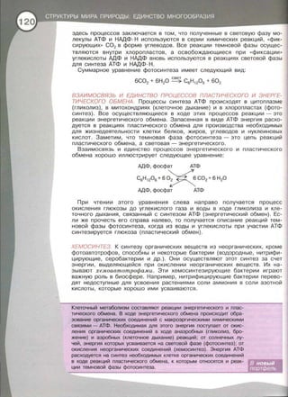 здесь процессов заключается в том, что полученные в световую фазу мо­
лекулы АТФ и НАДФ · Н используются в серии химических реакций, <<фик­
сирующих>> СО2 в форме углеводов. Все реакции темновой фазы осущес­
твляются внутри хлоропластов, а освобождающиеся при << фиксации »
углекислоты АДФ и НАДФ вновь используются в реакциях световой фазы
для синтеза АТФ и НАДФ·Н.
Суммарное уравнение фотосинтеза имеет следующий вид:
свет
6С02 + 6Н 20 ~ С6Н 1206 + 602
ВЗАИМОСВЯЗЬ И ЕДИНСТВО ПРОЦЕССОВ ПЛАСТИЧЕСКОГО И ЭНЕРГЕ­
ТИЧЕСКОГО ОБМЕНА. Процессы синтеза АТФ происходят в цитоплазме
(гликолиз), в митохондриях (клеточное дыхание) и в хлоропластах (фото­
синтез). Все осуществляющиеся в ходе этих процессов реакции- это
реакции энергетического обмена. Запасенная в виде АТФ энергия расхо­
дуется в реакциях пластического обмена для производства необходимых
для жизнедеятельности клетки белков, жиров, углеводов и нуклеиновых
кислот. Заметим, что темновая фаза фотосинтеза- это цепь реакций
пластического обмена, а световая - энергетического.
Взаимосвязь и единство процессов энергетического и пластического
обмена хорошо иллюстрирует следующее уравнение:
При чтении этого уравнения слева направо получается процесс
окисления глюкозы до углекислого газа и воды в ходе гликолиза и кле­
точного дыхания, связанный с синтезом АТФ (энергетический обмен) . Ес­
ли же прочесть его справа налево, то получается описание реакций тем­
новой фазы фотосинтеза, когда из воды и углекислоты при участии АТФ
синтезируется глюкоза (пластический обмен).
ХЕМОСИНТЕЗ. К синтезу органических веществ из неорганических, кроме
фотоавтотрофов, способны и некоторые бактерии (водородные, нитрифи­
цирующие, серобактерии и др.). Они осуществляют этот синтез за счет
энергии, выделяющейся при окислении неорганических веществ. Их на­
зывают хе.моавтотрофа.ми. Эти хемосинтезирующие бактерии играют
важную роль в биосфере. Например, нитрифицирующие бактерии перево­
дят недоступные для усвоения растениями соли аммония в соли азотной
кислоты, которые хорошо ими усваиваются.
Клеточный метаболизм составляют реакции энергетического и плас­
тического обмена. В ходе энергетического обмена происходит обра­
зование органических соединений с макроэргическими химическими
связями- АТФ. Необходимая для этого энергия поступает от окис­
ления органических соединений в ходе анаэробных (гликолиз, бро­
жение) и аэробных (клеточное дыхание) реакций ; от солнечных лу­
чей, энергия которых усваивается на световой фазе (фотосинтез); от
окисления неорганических соединений (хемосинтез). Энергия АТФ
расходуется на синтез необходимых клетке органических соединений
в ходе реакций пластического обмена, к которым относятся и реак­
ции темновой фазы фотосинтеза.
 