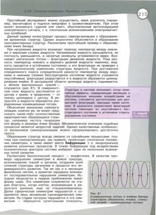 Простейший эксперимент можно осуществить, имея усилитель (напри­
мер, магнитофон) и поднося микрофон к громкоговорителю. При этом
может возникнуть гудение или свист, обусловленные автогенерацией
электрического сигнала, т. е. спонтанным возникновением электромагнит­
ных колебаний.
Данный пример иллюстрирует процесс самоорганизации с образовани­
ем временнЫх структур. Однако аналогично объясняется и образование
пространственных структур. Рассмотрим простейший пример с образова­
нием ячеек Бенара .
При нагревании жидкости возникает перепад температур между нижни­
ми и верхними слоями жидкости. Нагреваемая жидкость расширяется, ее
плотность уменьшается , и нагретые молекулы устремляются вверх. Воз­
никают хаотические потоки- флуктуации движения жидкости. Пока раз­
ность температур нижнего и верхнего уровней жидкости невелика, жид­
кость находится в устойчивом состоянии, и эти флуктуации не приводят к
макроскопическому изменению структуры жидкости. При достижении
определенного порога (определенной разности температур между верх­
ними и нижними слоями) бесструктурное состояние жидкости становится
неустойчивым, флуктуации разрастаются и в жидкости образуются цилинд­
рические ячейки. В центральной области цилиндра жидкость поднимается,
а вблизи вертикальных граней -
опускается (рис. 81 ). В поверхност­
ном слое жидкость растекается от
центра к краям, в придонном - от
границ цилиндров к центру. В ре­
зультате в жидкости образуются упо­
рядоченные конвекционные потоки.
Объяснение механизма самоорга­
низации , конечно же, не может пред­
сказать какие-либо количественные
характеристики образующихся струк­
тур, например частоту генерации
Структуры в системе возникают, когда нели­
нейные эффекты, определяющие эволюцию и
обусловленные внешним воздействием на
систему, становятся достаточными для раз­
растания флуктуаций, присущих таким систе­
мам . В результате разрастания флуктуаций
система переходит из неустойчивого бес­
структурного состояния в устойчивое структу-
рированное состояние.
или форму и размеры ячеек Бенара. Математическое описание подобных
процессов является непростой задачей. Однако качественные особеннос­
ти механизмов самоорганизации можно сформулировать достаточно
просто.
Образование структур всегда связано со случайными процессами, поэ ­
тому при самоорганизации , как правило, происходит спонтанное пониже­
ние симметрии , а также имеют место бифуркации, т. е. неоднозначное
развитие различных процессов. В точках бифуркации под воздействием
незначительных факторов система выбирает один из нескольких возмож­
ных путей развития .
Рассмотрим биологический процесс - морфогенез. В качестве при­
мера нарушения симметрии в живой природе,
возникновение тканей и органов, создание всей
сложной структуры организма в процессе его ин­
дивидуального развития. Так же как и в эволюции
физических систем, в развитии зародыша возника­
ют последовательные нарушения симметрии . Ис­
ходная яйцеклетка в первом приближении имеет
форму шара. Эта симметрия сохраняется на ста­
дии бластулы, когда клетки, возникающие в ре­
зультате деления, еще не специализированы .
Далее сферическая симметрия нарушается и со­
храняется лишь аксиальная (цилиндрическая) сим­
метрия. На стадии гаструлы нарушается и эта сим­
метрия - образуется сагиттальная плоскость,
Рис. 81
Конвекционные потоки в ячейках Бенара
(пунктиром обозначены ячейки, сплош­
ной линией- конвекционные потоки)
 