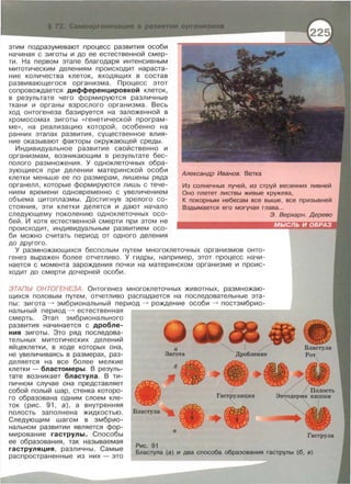этим подразумевают процесс развития особи
начиная с зиготы и до ее естественной смер­
ти. На первом этапе благодаря интенсивным
митотическим делениям происходит нараста­
ние количества клеток, входящих в состав
развивающегося организма. Процесс этот
сопровождается дифференцировкой клеток,
в результате чего формируются различные
ткани и органы взрослого организма. Весь
ход онтогенеза базируется на заложенной в
хромосомах зиготы • генетической програм­
ме », на реализацию которой, особенно на
ранних этапах развития, существенное влия­
ние оказывают факторы окружающей среды.
Александр Иванов. Ветка
Индивидуальное развитие свойственно и
организмам, возникающим в результате бес­
полого размножения. У одноклеточных обра­
зующиеся при делении материнской особи
клетки меньше ее по размерам, лишены ряда
органелл, которые формируются лишь с тече­
нием времени одновременно с увеличением
объема цитоплазмы. Достигнув зрелого со­
стояния, эти клетки делятся и дают начало
следующему поколению одноклеточных осо­
бей . И хотя естественной смерти при этом не
Из солнечных лучей , из струй весенних ливней
Оно плетет листвы живые кружева ,
К покорным небесам все выше , все призывней
Вздымается его могучая глава.. .
происходит , индивидуальным развитием осо-
би можно считать период от одного деления
до другого.
У размножающихся бесполым путем многоклеточных организмов онто­
генез выражен более отчетливо. У гидры, например, этот процесс начи­
нается с момента зарождения почки на материнском организме и проис­
ходит до смерти дочерней особи.
ЭТАПЫ ОНТОГЕНЕЗА. Онтогенез многоклеточных животных, размножаю­
щихся половым путем, отчетливо распадается на последовательные эта­
пы: зигота ~ эмбриональный период ~ рождение особи ~ постэмбрио­
нальный период ~ естественная
смерть . Этап эмбрионального
развития начинается с дробле­
ния зиготы. Это ряд последова­
тельных митотических делений
яйцеклетки, в ходе которых она,
не увеличиваясь в размерах, раз­
деляется на все более мелкие
клетки- бластомеры . В резуль­
тате возникает бластула. В ти­
пичном случае она представляет
собой полый шар, стенка которо­
го образована одним слоем кле­
ток (рис. 91 , а), а внутренняя
полость заполнена жидкостью. Бластула
Следующим шагом в эмбрио-
нальном развитии является фор­
мирование гаструлы. Способы
Рис. 91
а
Зигота
tJ
в
Гаструляция
Э. Верхарн. Дерево
Гаструпа
ее образования, так называемая
гаструляция, различны . Самые
распространенные из них - это
Бластула (а) и два способа образования гаструлы (б, в)
 