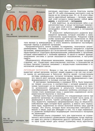 Мезодерма
Рис. 92
миграция некоторых клеток бластулы внутрь
(рис 91 , б) либо впячивание клеточного слоя на
одном из ее полюсов (рис. 91 , в) . В итоге обра­
зуется двуслойный зародыш - гаструла , наруж­
ный слой которого представляет собой экто­
дерму, а внутренний - энтодерму.
У всех животных, за исключением губок и ки­
шечнополостных , в конце гаструляции появляет­
ся еще один слой клеток - мезодерма , распо­
лагающийся между эктодермой и энтодермой
(рис. 92).
Образование трехслойного зародыша
В результате эмбрионального развития фор­
мируется организм, который способен к само­
стоятельному существованию . Рождение новой
особи происходит или при вылуплении из яйца
(у яйцекладущих животных) , или при выходе из
тела матери (у живородящих). С этого момента начинается постэмбрио­
нальный период в развитии организма.
Продолжительность жизни особей, по-видимому , генетически запрог­
раммирована. Поэтому с определенного момента начинается старение
организма , завершающееся его естественной смертью. Процесс старения
характеризуется структурно-функциональными изменениями в организме,
которые накапливаются с течением времени . В какой-то момент функци­
онирование системы в целом оказывается невозможным , и наступает
смерть .
Общепринятого объяснения механизмов , лежащих в основе процессов
старения , нет. Существуют многочисленные гипотезы , в большинстве из
которых причины старения связывают с возрастными изменениями в ге ­
нетическом аппарате клеток.
РЕГУЛЯЦИЯ ОНТОГЕНЕЗА. Вопрос о том , как из оплодотворенного яйца
вырастает целый организм, волнует людей издавна и до сих пор остает-
ся одним из центральных в биологии . Долгое время господствовали
взгляды преформизма, согласно которому процесс развития­
это просто рост органов организма , уже сформированного (пре­
формированного) в половых клетках (рис . 93).
В противовес преформизму в середине XVIII в. была предложе­
на теория эпиге неза , в соответствии с которой развитие орга­
низма происходит не из преформированных органов , а из прос­
то устроенного зародыша в результате последовательных
новообразований. Подойти к решению проблемы регуляции онто­
генеза стало возможным лишь с развитием современной экспе­
риментальной биологии и генетики .
Прежде всего было установлено , что специализация клеток при
развитии организма не сопровождается потерей части генов , со­
держащихся в зиготе. Группе шотландских ученых в 1997 г. уда­
лось вырастить нормально сформированную овцу из яйцеклетки ,
собственное ядро которой было удалено, а вместо него переса­
жена ядро, выделенное из клетки молочной железы овцы другой
породы. Эти опыты , которые были впоследствии повторены на
мышах и овцах , еще раз убеждают в том , что в ходе нормально­
го развития необратимых модификаций генетического материала
не происходит.
Описанные опыты открывают путь для практически не ограни ­
ченного вегетативного размножения индивидуума путем пересад­
ки ядер его клеток в яйцеклетки другого организма . В результа­
взглядов npe- те одна особь может дать начало огромному числу идентичных
 