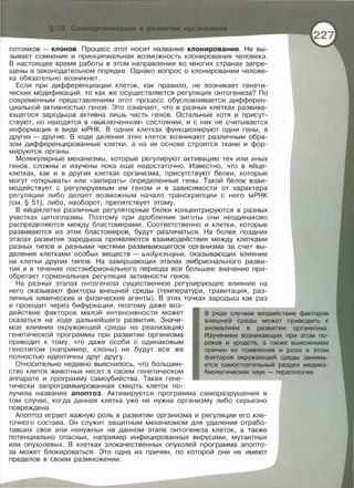 потомков - клонов . Процесс этот носит название клонирование . Не вы­
зывает сомнения и принципиальная возможность клонирования человека.
В настоящее время работы в этом направлении во многих странах запре­
щены в законодательном порядке. Однако вопрос о клониревании челове­
ка обязательно возникнет.
Если при дифференциации клеток , как правило, не возникает генети­
ческих модификаций, то как же осуществляется регуляция онтогенеза? По
современным представлениям этот процесс обусловливается дифферен­
циальной активностью генов. Это означает , что в разных клетках развива­
ющегося зародыша активна лишь часть генов . Остальные хотя и присут­
ствуют , но находятся в << выключенном » состоянии , и с них не считывается
информация в виде мРНК. В одних клетках функционируют одни гены , в
других - другие . В ходе деления этих клеток возникают различным обра­
зом дифференцированные клетки, а на их основе строятся ткани и фор ­
мируются органы.
Молекулярные механизмы , которые регулируют активацию тех или иных
генов, сложны и изучены пока еще недостаточно. Известно , что в яйце­
клетках, как и в других клетках организма, присутствуют белки, которые
могут «Открывать» или «запирать>> определенные гены. Такой белок взаи­
модействует с регулируемым им геном и в зависимости от характера
регуляции либо делает возможным начало транскрипции с него мРНК
(см. § 51), либо , наоборот , препятствует этому.
В яйцеклетке различные регуляторные белки концентрируются в разных
участках цитоплазмы. Поэтому при дроблении зиготы они неодинаково
распределяются между бластомерами. Соответственно и клетки , которые
развиваются из этих бластомеров , будут различаться. На более поздних
этапах развития зародыша проявляются взаимодействия между клетками
разных типов и разными частями развивающегося организма за счет вы­
деления клетками особых веществ - ипдукторов, оказывающих влияние
на клетки других типов. На завершающих этапах эмбрионального разви­
тия и в течение постэмбрионального периода все большее значение при­
обретает гормональная регуляция активности генов.
На разных этапах онтогенеза существенное регулирующее влияние на
него оказывают факторы внешней среды (температура , гравитация, раз­
личные химические и физические агенты) . В этих точках зародыш как раз
и проходит через бифуркации , поэтому даже воз­
действие факторов малой интенсивности может
сказаться на ходе дальнейшего развития . Значи ­
мое влияние окружающей среды на реализацию
генетической программы при развитии организма
приводит к тому , что даже особи с одинаковым
генотипом (например , клоны) не будут все же
полностью идентичны друг другу .
Относительно недавно выяснилось, что большин­
ство клеток животных несет в своем генетическом
аппарате и программу самоубийства. Такая гене­
тически запрограммированная смерть клеток по-
В ряде случаев воздействие факторов
внешней среды может приводить к
аномалиям в развитии организма.
Изучением возникающих при этом по-
раков и уродств, а также выяснением
причин их появления и роли в этом
факторов окружающей среды занима-
ется самостоятельный раздел медико­
биологических наук- тератология.
лучила название апоптоз. Активируется программа саморазрушения в
том случае , когда данная клетка уже не нужна организму либо серьезно
повреждена .
Апоптоз играет важную роль в развитии организма и регуляции его кле­
точного состава . Он служит защитным механизмом для удаления отрабо­
тавших свое или ненужных на данном этапе онтогенеза клеток , а также
потенциально опасных , например инфицированных вирусами, мутантных
или опухолевых . В клетках злокачественных опухолей программа апопто­
за может блокироваться . Это одна из причин , по которой они не имеют
пределов в своем размножении .
 