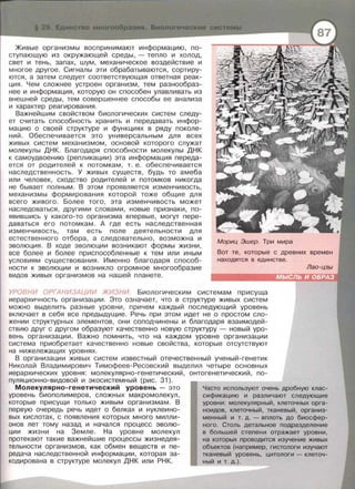 Живые организмы воспринимают информацию, по­
ступающую из окружающей среды, - тепло и холод,
свет и тень , запах, шум, механическое воздействие и
многое другое. Сигналы эти обрабатываются, сортиру­
ются, а затем следует соответствующая ответная реак­
ция. Чем сложнее устроен организм , тем разнообраз­
нее и информация, которую он способен улавливать из
внешней среды , тем совершеннее способы ее анализа
и характер реагирования.
Важнейшим свойством биологических систем следу­
ет считать способность хранить и передавать инфор­
мацию о своей структуре и функциях в ряду поколе­
ний . Обеспечивается это универсальным для всех
живых систем механизмом, основой которого служат
молекулы ДНК. Благодаря способности молекулы ДНК
к самоудвоению (репликации) эта информация переда­
ется от родителей к потомкам, т. е . обеспечивается
наследственность . У живых существ, будь то амеба
или человек , сходство родителей и потомков никогда
не бывает полным . В этом проявляется изменчивость,
механизмы формирования которой тоже общие для
всего живого. Более того , эта изменчивость может
наследоваться , другими словами, новые признаки, по­
явившись у какого-то организма впервые , могут пере­
даваться его потомкам . А где есть наследственная
изменчивость, там есть поле деятельности для
естественного отбора , а следовательно , возможна и
эволюция. В ходе эволюции возникают формы жизни ,
все более и более приспособленные к тем или иным
условиям существования . Именно благодаря способ ­
ности к эволюции и возникло огромное многообразие
видов живых организмов на нашей планете .
УРОВНИ ОРГАНИЗАЦИИ ЖИЗНИ. Биологическим системам присуща
иерархичность организации. Это означает, что в структуре живых систем
можно выделить разные уровни , причем каждый последующий уровень
включает в себя все предыдущие . Речь при этом идет не о простом сло­
жении структурных элементов , они соподчинены и благодаря взаимодей­
ствию друг с другом образуют качественно новую структуру- новый уро­
вень организации . Важно помнить, что на каждом уровне организации
система приобретает качественно новые свойства , которые отсутствуют
на нижележащих уровнях.
В организации живых систем известный отечественный ученый-генетик
Николай Владимирович Тимофеев-Ресовский выделил четыре основных
иерархических уровня: молекулярно-генетический, онтогенетический , по­
пуляционно-видовой и экасистемный (рис. 31 ).
Молекулярно-генетический уровень - это
уровень биополимеров, сложных макромолекул,
которые присущи только живым организмам. В
первую очередь речь идет о белках и нуклеино­
вых кислотах , с появления которых много милли­
онов лет тому назад и начался процесс эволю­
ции жизни на Земле. На уровне молекул
протекают такие важнейшие процессы жизнедея­
тельности организмов , как обмен веществ и пе­
редача наследственной информации, которая за­
кодирована в структуре молекул ДНК или РНК.
Часто используют очень дробную клас­
сификацию и различают следующие
уровни : молекулярный, клеточных орга-
ноидов, клеточный, тканевый, организ­
менный и т. д. - вплоть до биосфер­
ного. Столь детальное подразделение
в большей степени отражает уровни ,
на которых проводится изучение живых
объектов (например, гистологи изучают
тканевый уровень, цитологи- клеточ­
ный и т. д.).
 