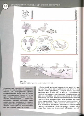 ~
Уо
1...... нн,
н . ..
о ~· r ~..,
н,н~о i:11-J."'
о
о
'-он
Рис. 31
1
O >S
:I:S
а.:..:
!J:U
с:;Ф
~~
фl­
с:;Ф
o:r:
~е
>S
s:..:
(.)
ф
J
s
1-
ф
:I:
ф
L
о
1-
:I:
о
>S
о
!D
о
с:[
s
!D
1
о
:I:
:I:
о
s
:f
(J:
~
с
о
с
>S
J5
:I:
:::Е
ф
1-
(.)
s
(.)
~
(Т)
Иерархические уровни организации живого
Современные технологии позволяют
ученым проводить свои исследования
именно на молекулярном уровне .
Сформировалась новая отрасль биоло­
гии - молекулярная биология и ее
практическая составляющая - молеку­
лярная биотехнология. С развитием
последней связано получение новых
лекарственных препаратов и вакцин,
продуктов питания, разработка методов
лечения онкологических и наследствен­
ных заболеваний и многое другое .
Следующий уровень организации живого - он­
тогенетический. Единицей жизни на этом уровне
служит особь (индивид), которая может С_?Стоять
из одной клетки или многих клеток. Каждои особи
присущ онтогенез , под которым подеазумевается
вся совокупность ее преобразовании с _ момента
появления на свет при оплодотворении яицеклетки
(при половом размножении) или делении материн­
ского организма (при бесполом размножении) и
до конца ее жизни . Этот уровень организации пер­
вый в системе иерархии , для которого характерна
самодостаточность . Действительно , только орга­
низм (но никак не молекулы) обладает способ-
 