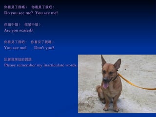 你看見了我嗎 ? 　你看見了我吧 ! Do you see me?  You see me! 你怕不怕 ? 　你怕不怕 ? Are you scared?  你看見了我吧 ! 　你看見了我嗎 ? You see me!  Don’t you? 記著我笨拙的說話 Please remember my inarticulate words.   