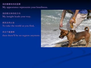 我的模樣有你的孤單 My appearance represents your loneliness. 我的眼光有你的方向 My insight leads your way. 順其自然以後　 To take the world as you find, 再也不會遺憾 then there’ll be no regrets anymore. 