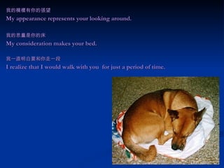 我的模樣有你的張望 My appearance represents your looking around. 我的思量是你的床 My consideration makes your bed. 我一直明白要和你走一段 I realize that I would walk with you  for just a period of time.  