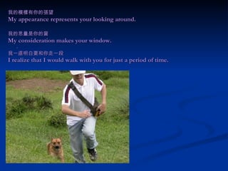 我的模樣有你的張望 My appearance represents your looking around. 我的思量是你的窗 My consideration makes your window. . 我一直明白要和你走一段 I realize that I would walk with you for just a period of time.  