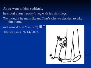 As we went to him, suddenly,  he stood upon newcity’s  leg with his short legs.  We thought he must like us. That’s why we decided to take him home.  mel named him “Garou”( 嘎戶 ). That day was 09/14/2003.  