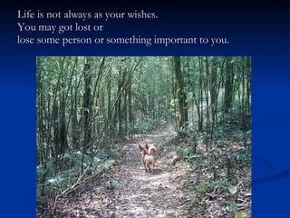 Life is not always as your wishes. You may got lost or lose some person or something important to you. 