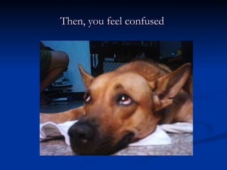 Then, you feel confused  