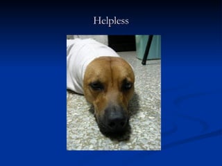Helpless 