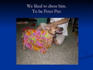 We liked to dress him. To be  Peter Pan 