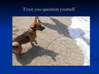 Even you question yourself. 