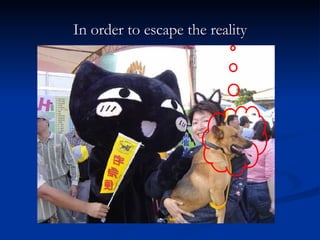 In order to escape the reality 