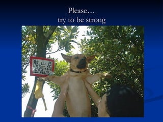 Please… try to be strong 