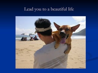 Lead you to a beautiful life 