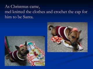 As Christmas came,  mel knitted the clothes and crochet the cap for him to be Santa.  