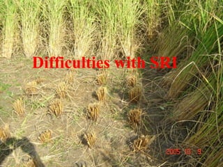 Difficulties with SRI 
