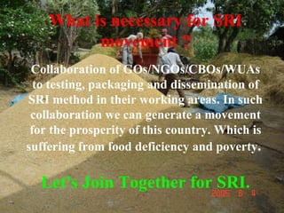 What is necessary for SRI movement ? Collaboration of GOs/NGOs/CBOs/WUAs to testing, packaging and dissemination of SRI me...