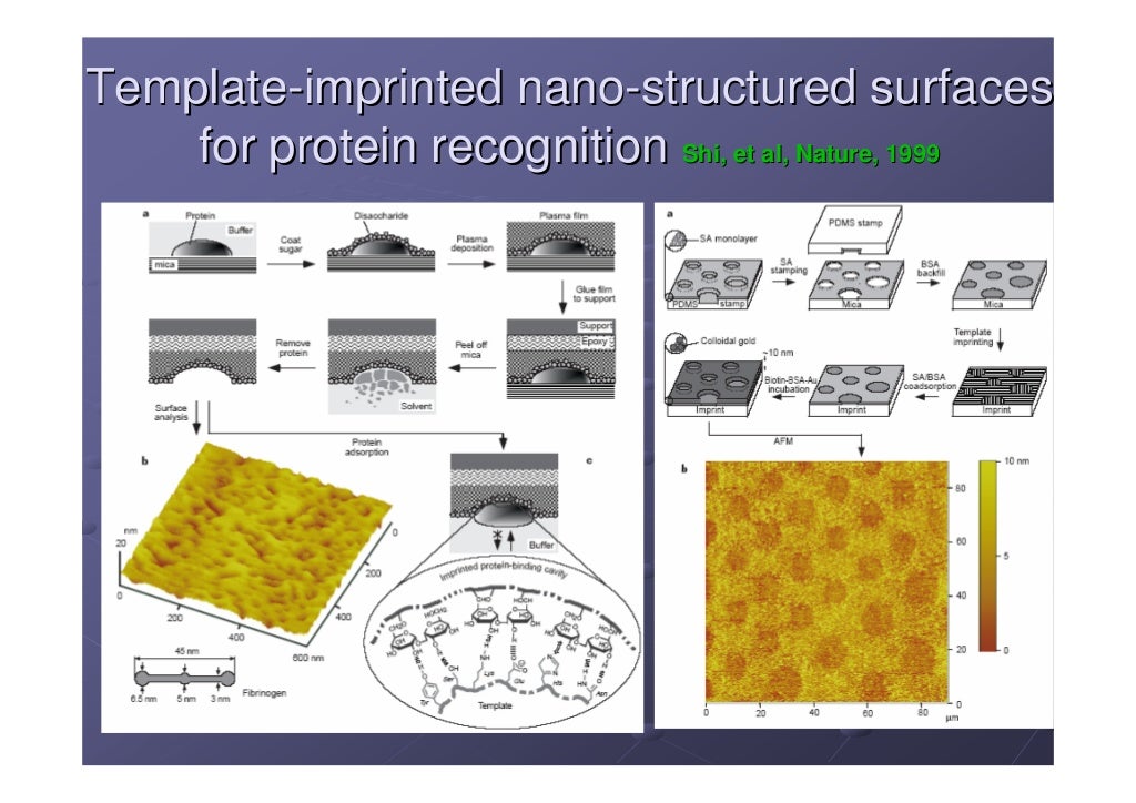 (050407)protein chip