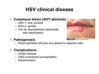 Hsv Diffuse Rash 05.04.09(a): Herpes Viruses | PDF
