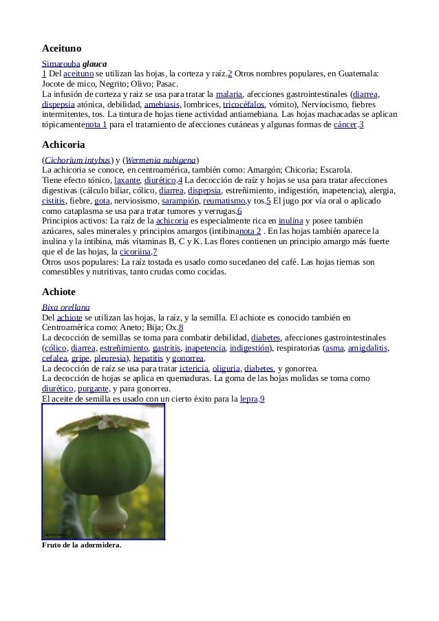 05 04 11 Plantas Medicinales Wikipedia Www Gftaognosticaespiritual Org