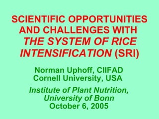 SCIENTIFIC OPPORTUNITIES AND CHALLENGES WITH  THE SYSTEM OF RICE INTENSIFICATION  (SRI) Norman Uphoff, CIIFAD Cornell University, USA  Institute of Plant Nutrition, University of Bonn October 6, 2005 