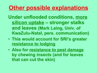 Other possible explanations <ul><li>Under unflooded conditions,  more silicon uptake  – stronger stalks and leaves  (Mark ...